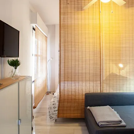 Apartment Pikis Center 1 *